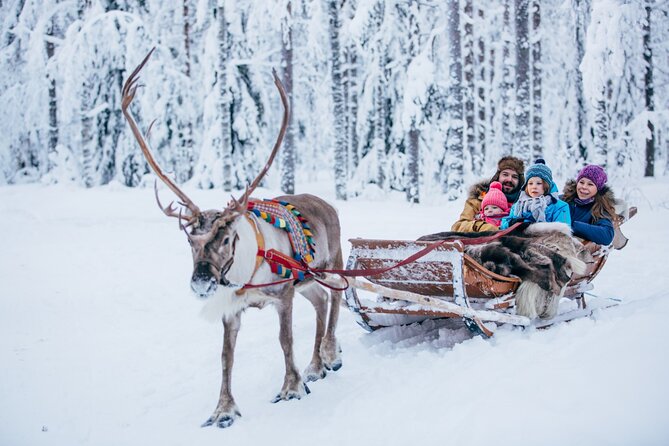 Reindeer Sleigh Ride and Farm Experience from Rovaniemi - Meeting in central Rovaniemi, not at your hotel