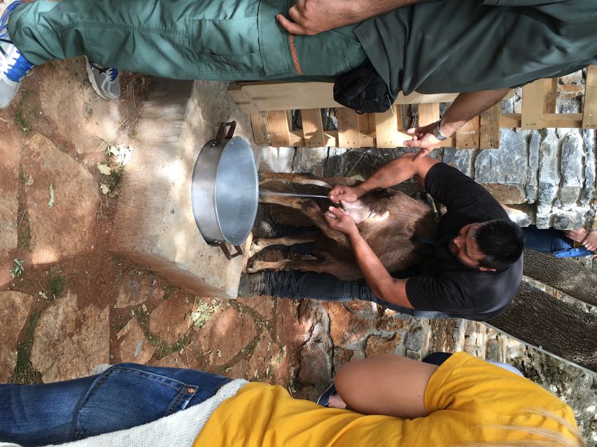 Rethymno 4x4 Safari: Tastes & Farm Experience - The highlights at a glance