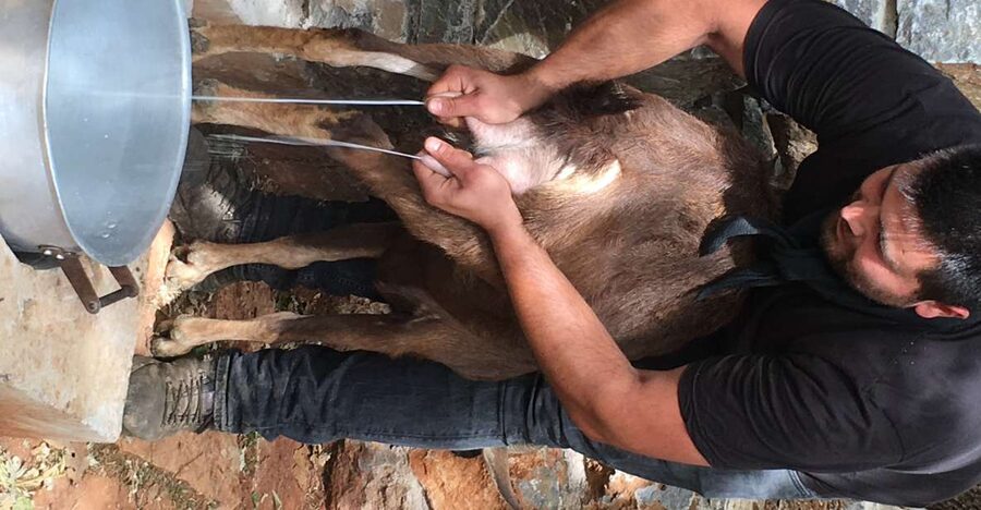 Rethymno 4x4 Safari: Tastes & Farm Experience - Transport, timing, and what to pack