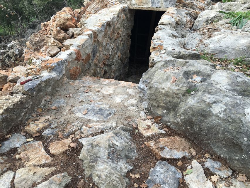 Rethymno 4x4 Safari: Tastes & Farm Experience - Off-road tracks and the search for mountain wildlife