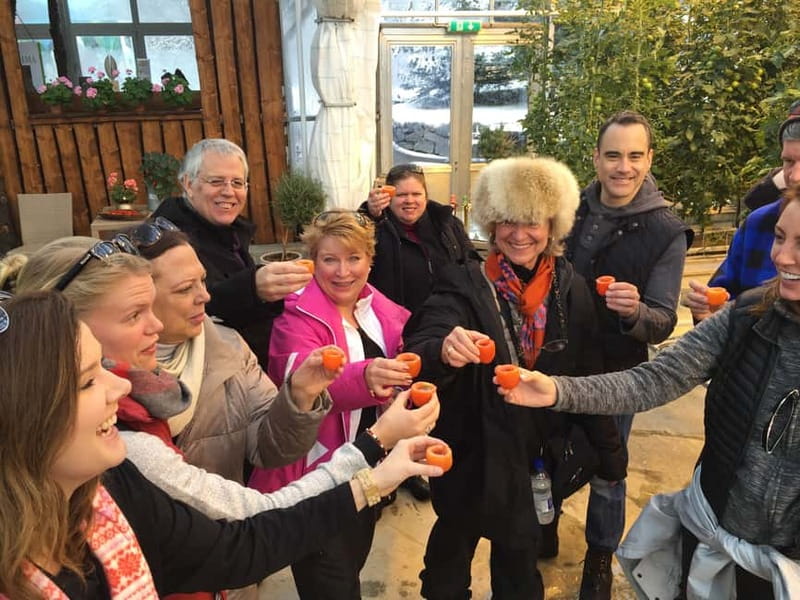 Reykjavik: Golden Circle, Farm & Sky Lagoon Small-Group Tour - Key points to know before booking
