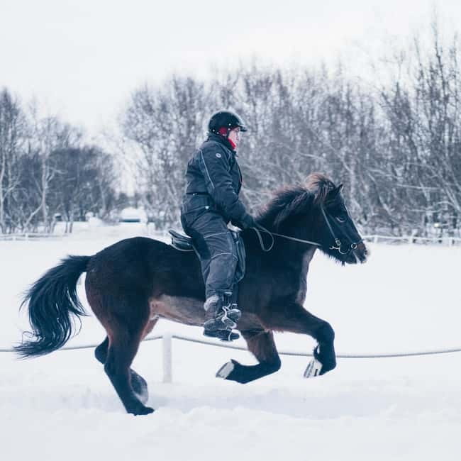 Reykjavik: Golden Circle, Farm & Sky Lagoon Small-Group Tour - Who should book this tour?