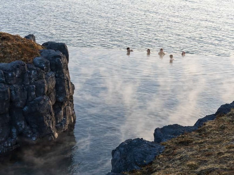Reykjavik: Golden Circle, Farm & Sky Lagoon Small-Group Tour - Friðheimar brings Iceland’s green energy indoors
