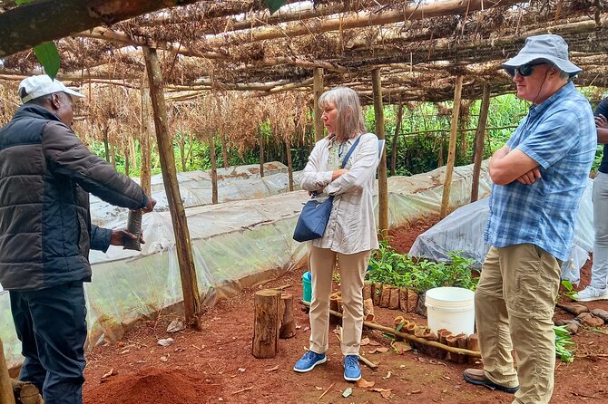 Riara tea farm tour with lunch and tea tasting from Nairobi - Why Riara tea farm is worth the drive from Nairobi