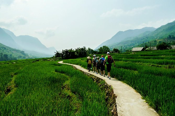 Rice Terraced Fields & Homestay Experience– 2D 1N - Leaving Sapa at 9 am for the rice terraces