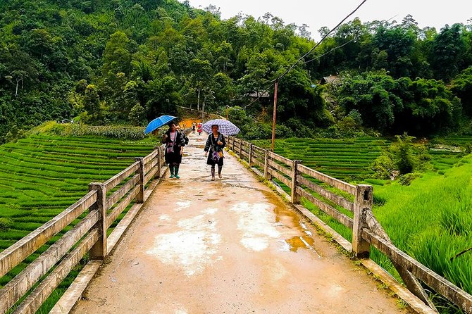 Rice Terraced Fields & Homestay Experience– 2D 1N - Morning coffee, rice fields, and Giang Ta Chai