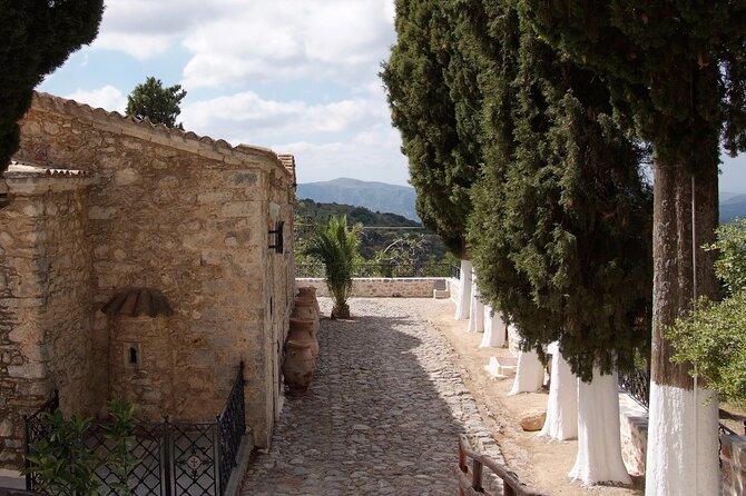Road-trip to Lasithi, Zeus Cave, Vidiani, Krasi & Olive Mill Farm - Two hours at the olive mill farm