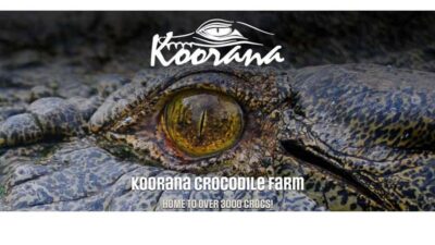 Rockhampton: Koorana Crocodile Farm Guided Tour