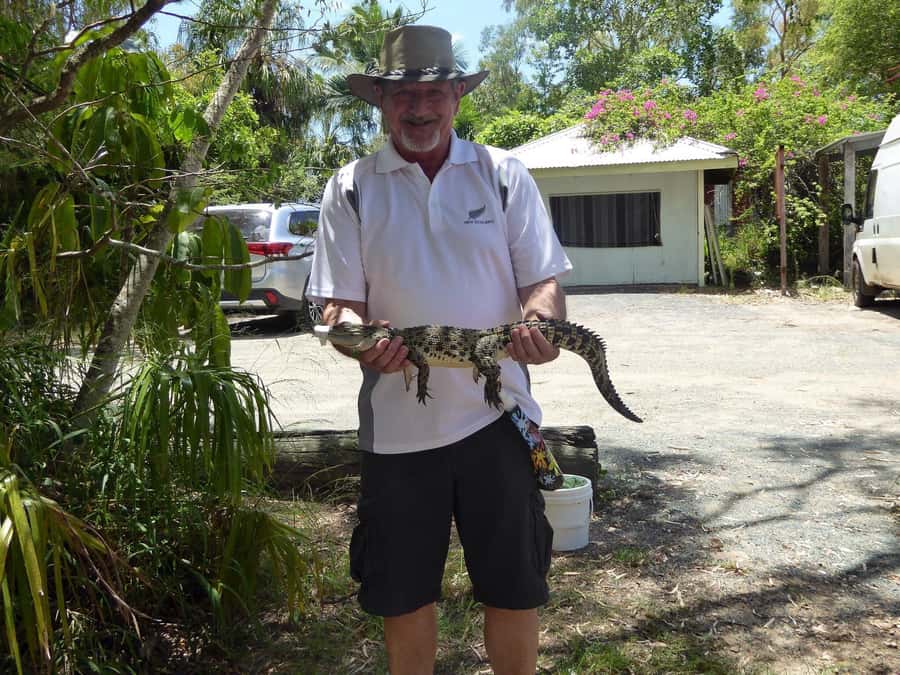 Rockhampton: Koorana Crocodile Farm Guided Tour - Heat and comfort can shape your experience
