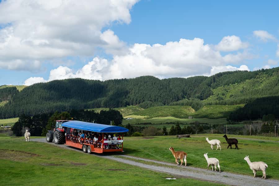 Rotorua: Authentic Kiwi Farm Experience at the Agrodome - The trailer tour across 350 acres