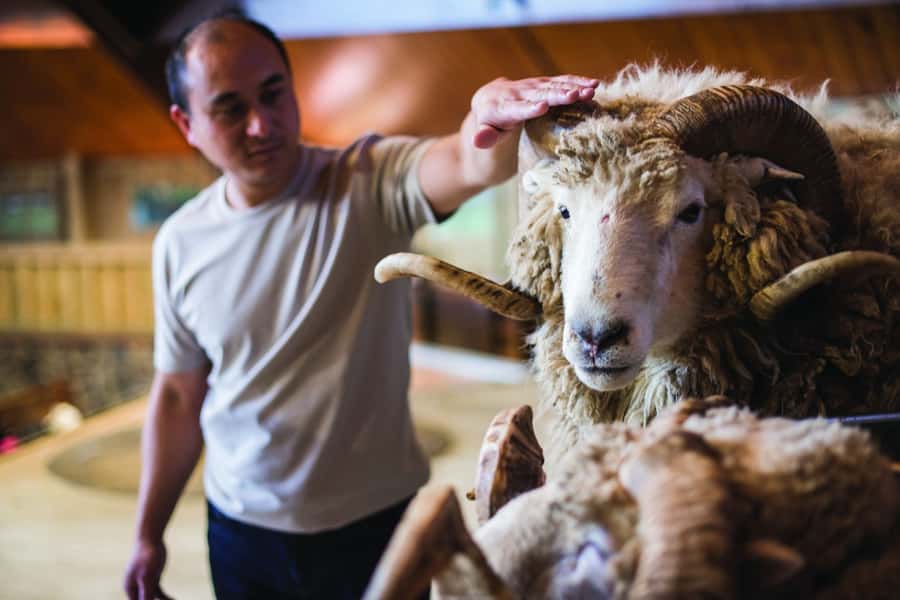 Rotorua: Authentic Kiwi Farm Experience at the Agrodome - The orchard tasting: honey and kiwifruit
