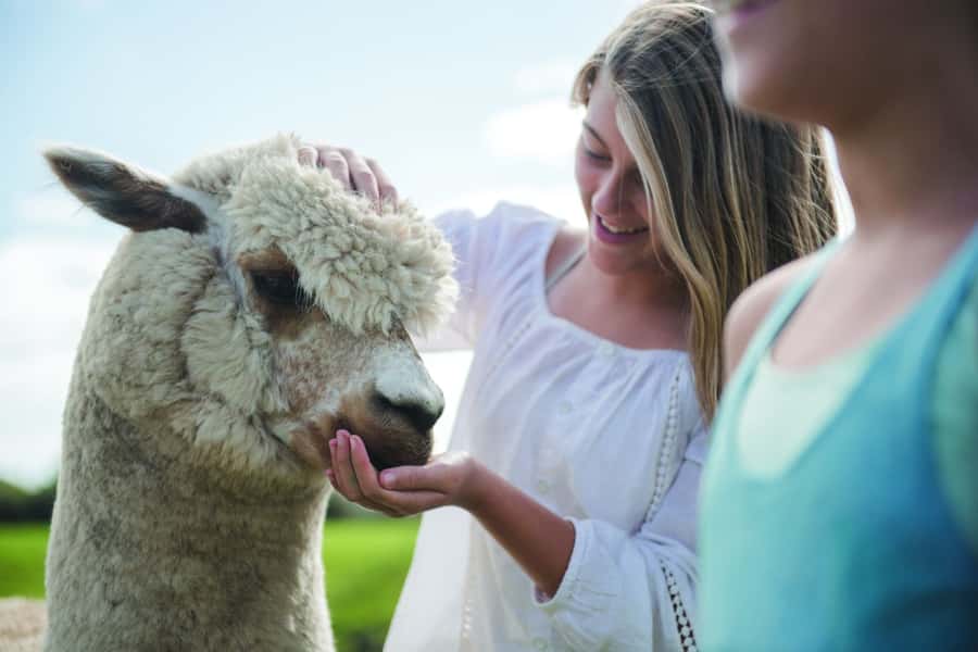 Rotorua: Authentic Kiwi Farm Experience at the Agrodome - Timing, comfort, and what to wear