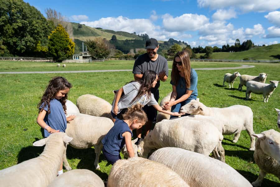 Rotorua: Authentic Kiwi Farm Experience at the Agrodome - Who will enjoy this most