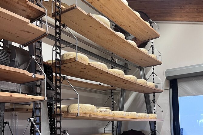 Rotterdam- Kinderdijk -Cheese Farm Experience min 4 max 100 PP - What the private format changes