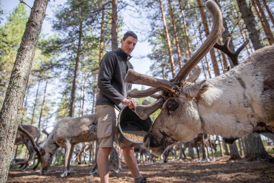 Rovaniemi: Authentic Reindeer Farm & Canoeing - Who should book this experience?