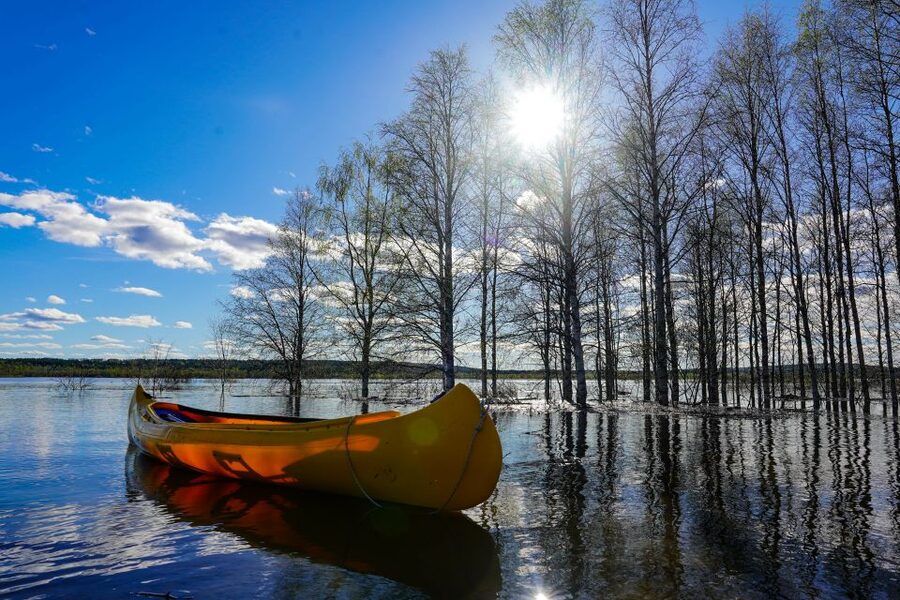 Rovaniemi: Authentic Reindeer Farm & Canoeing - Clothing matters more than you might expect