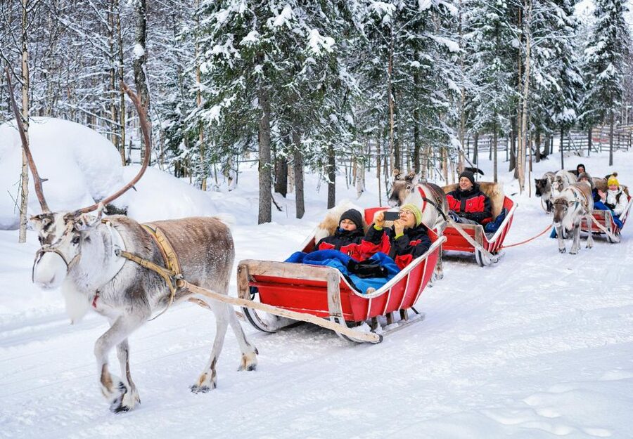 Rovaniemi: Authentic Reindeer Farm Visit & Short Sleigh Ride - Why this farm visit feels more personal