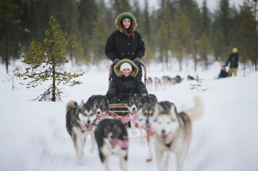 Rovaniemi: Family Friendly Husky Ride and Farm Visit - Who will enjoy this most?