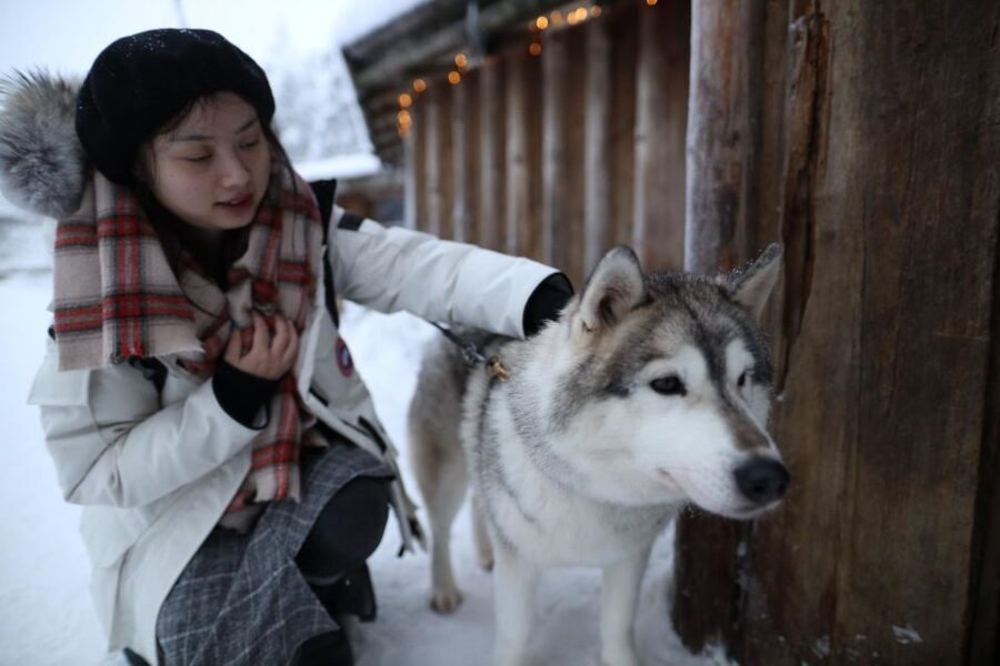 Rovaniemi: Husky and reindeer farm visit with sleigh rides - What the schedule feels like in practice