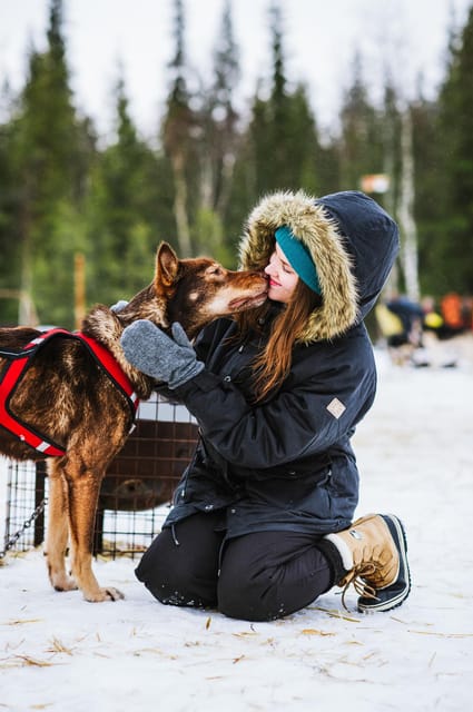 Rovaniemi: Husky and Reindeer farm with sleigh ride - What to wear for the farm visits