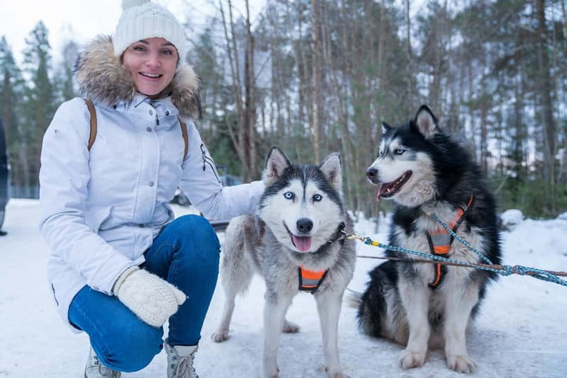 Rovaniemi: Husky Farm and Reindeer Experience - Meeting the reindeer and learning about herding