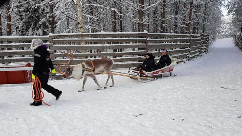 Rovaniemi: Husky Farm and Reindeer Experience - The husky stop: lively, photogenic, and very short