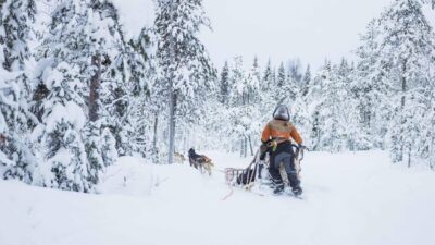 Husky Farm Visit with a Sledge Ride