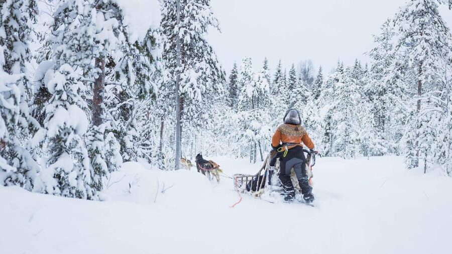Rovaniemi: Husky Farm Visit with a Sledge Ride - Getting there from Rovaniemi