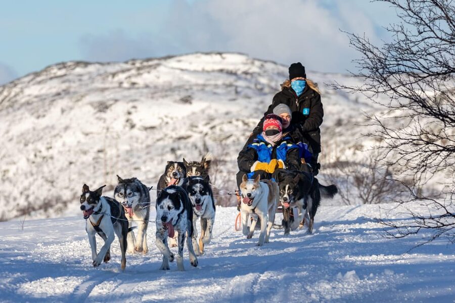 Rovaniemi: Husky Sled Ride and Farm Visit - What $117 buys you in Rovaniemi