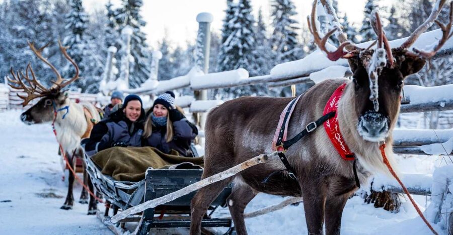 Rovaniemi: Local Reindeer Farm Visit with Sleigh Ride - Who should book this experience?