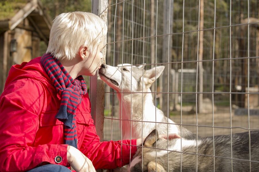 Rovaniemi: Quad Bike Safari, Reindeer & Husky Farm Visit - Reindeer farms: more than a Christmas postcard