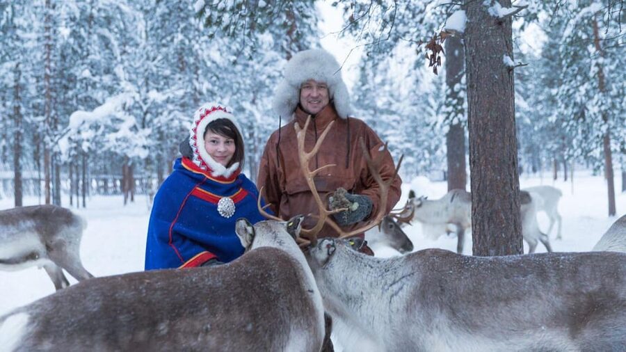 Rovaniemi: Reindeer Farm Visit and Sleigh Ride with transfer - How much value do you get for $117?