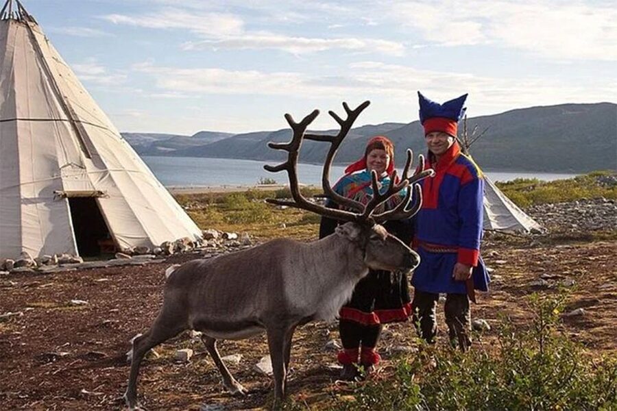 Rovaniemi: Reindeer Farm Visit in the Summer - Is the $146 price fair?