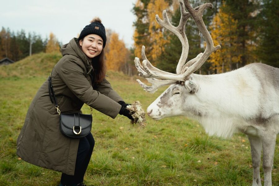 Rovaniemi: Reindeer Farm Visit with Photographer - Key points to know before booking