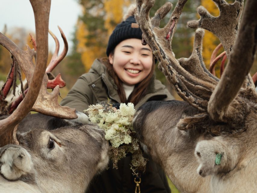 Rovaniemi: Reindeer Farm Visit with Photographer - Professional photos instead of hurried phone snapshots