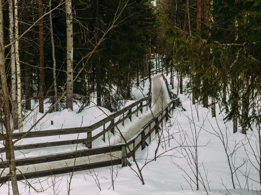Rovaniemi: Reindeer Farm Visit with Sleigh Ride & Pickup - The 500-meter sleigh ride