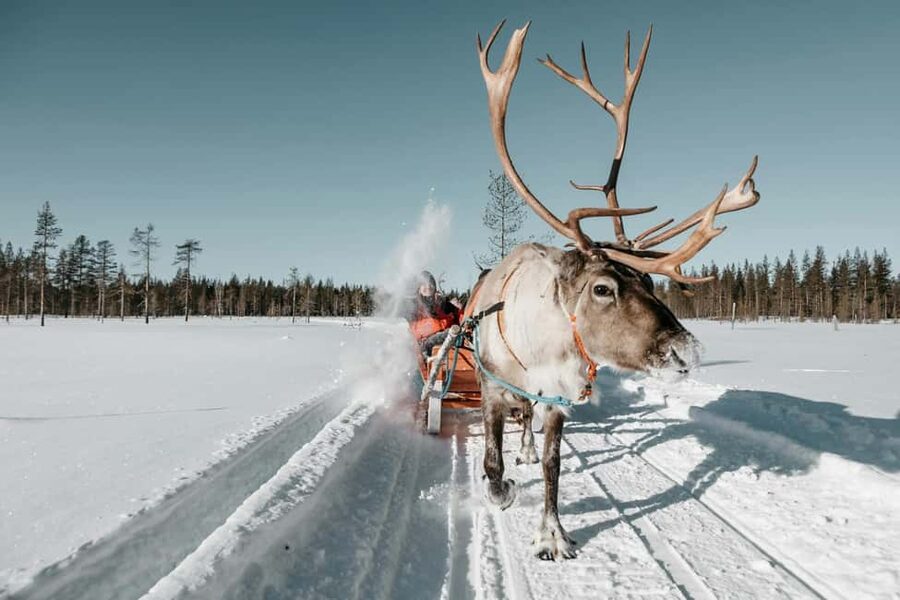 Rovaniemi: Reindeer Farm Visit with Sleigh Ride & Snacks - Reaching the farm from Rovaniemi
