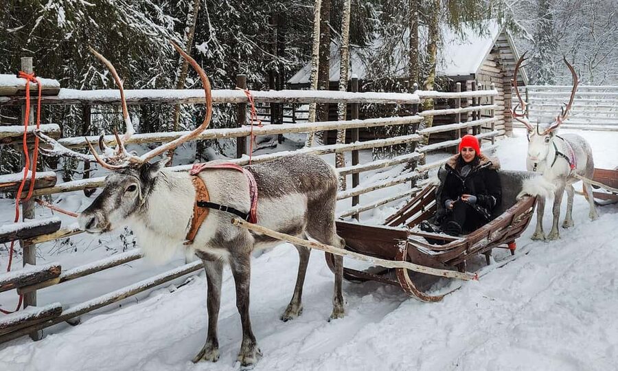 Rovaniemi: Reindeer Farm Visit with Sleigh Ride & Snacks - Stories inside the kota hut