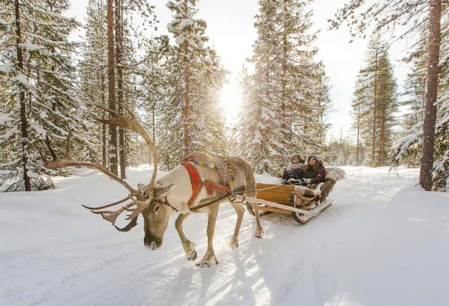 Rovaniemi: Reindeer Farm Visit with Sleigh Ride & Snacks - Should you book the Rovaniemi reindeer farm visit?