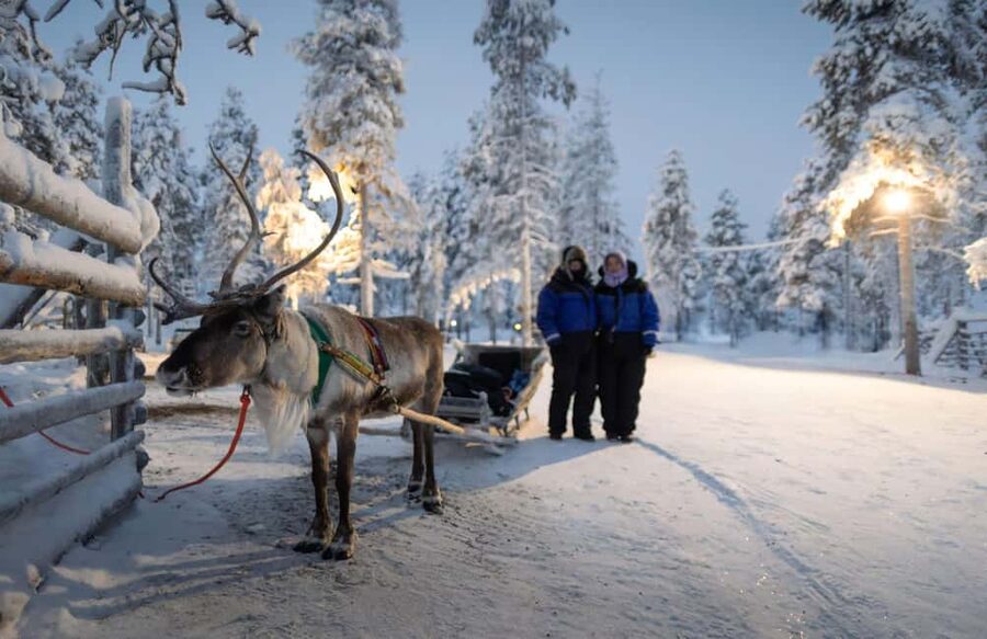 Rovaniemi: Reindeer Farm Visit with Sleigh Ride & Snacks - The 400 to 500-meter sleigh ride