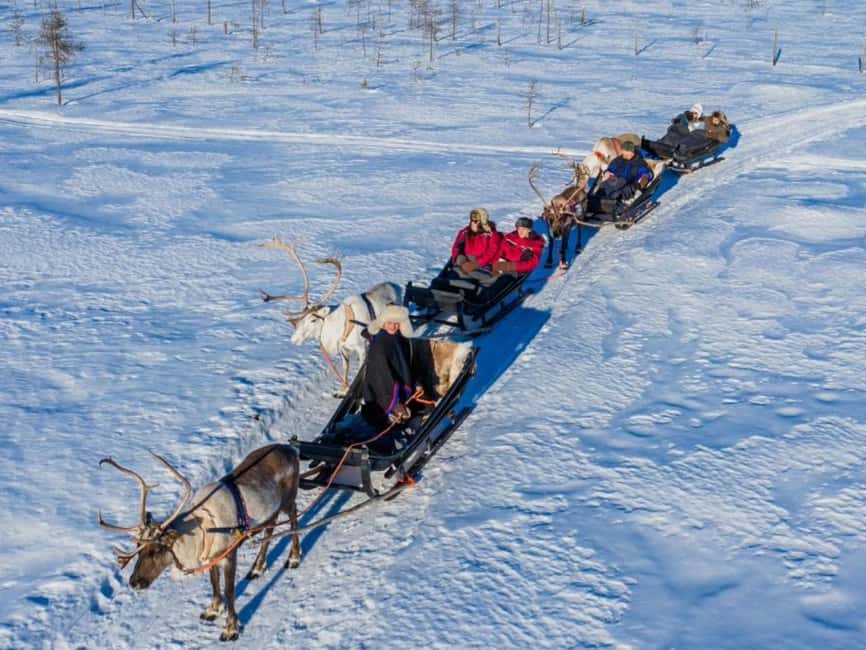 Rovaniemi: Reindeer Safari at 200-Year-Old Farm & Sled Ride - What the 2.5 km sled ride feels like