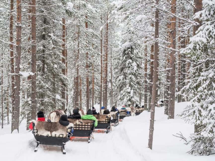 Rovaniemi: Reindeer Safari at 200-Year-Old Farm & Sled Ride - Who should book this outing?