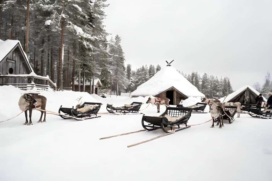 Rovaniemi: Reindeer Safari at 200-Year-Old Farm & Sled Ride - Booking details and what to bring