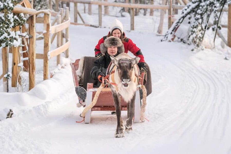 Rovaniemi: Reindeer Safari at 200-Year-Old Farm & Sled Ride - Arriving at the 200-year-old reindeer farm