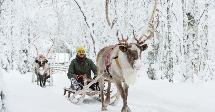 Rovaniemi: Saami Reindeer Farm Visit & Sleigh Ride - From Rovaniemi to a working reindeer farm