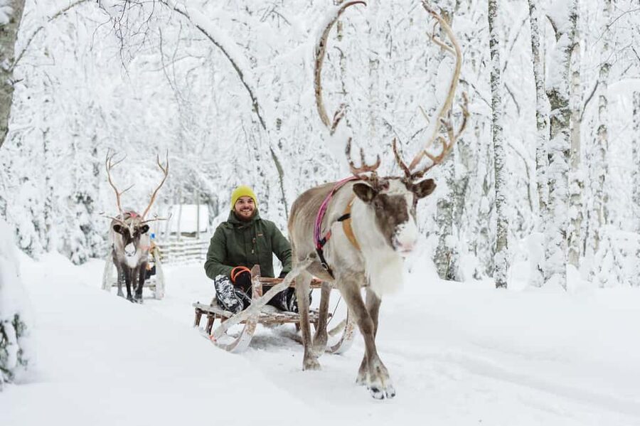 Rovaniemi: Saami Reindeer Farm Visit & Sleigh Ride - The 400 to 500-meter sleigh ride