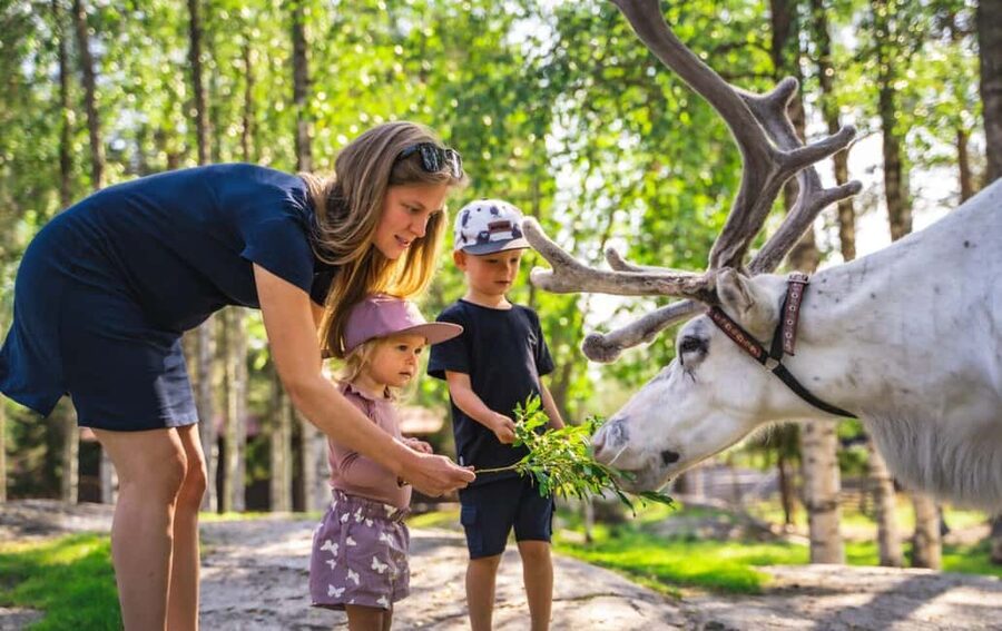 Rovaniemi: Saami Reindeer Farm Visit & Sleigh Ride - Timing, cold weather, and practical details