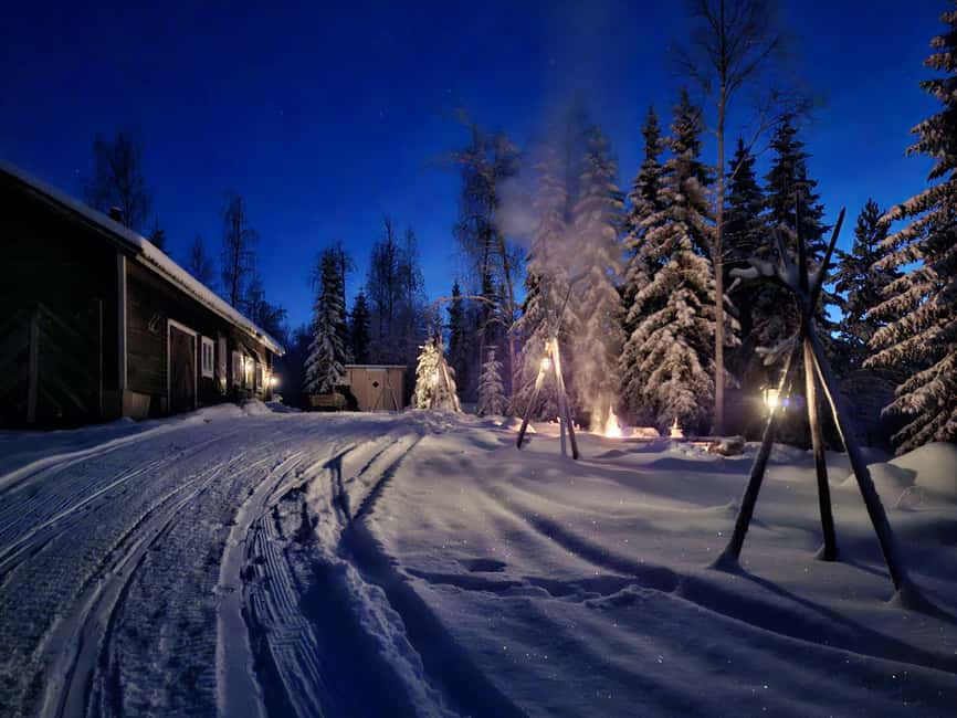 Rovaniemi:Self-drive Husky safari with a Reindeer Farm visit - Reindeer Farm: A Quiet Stop in the Woods