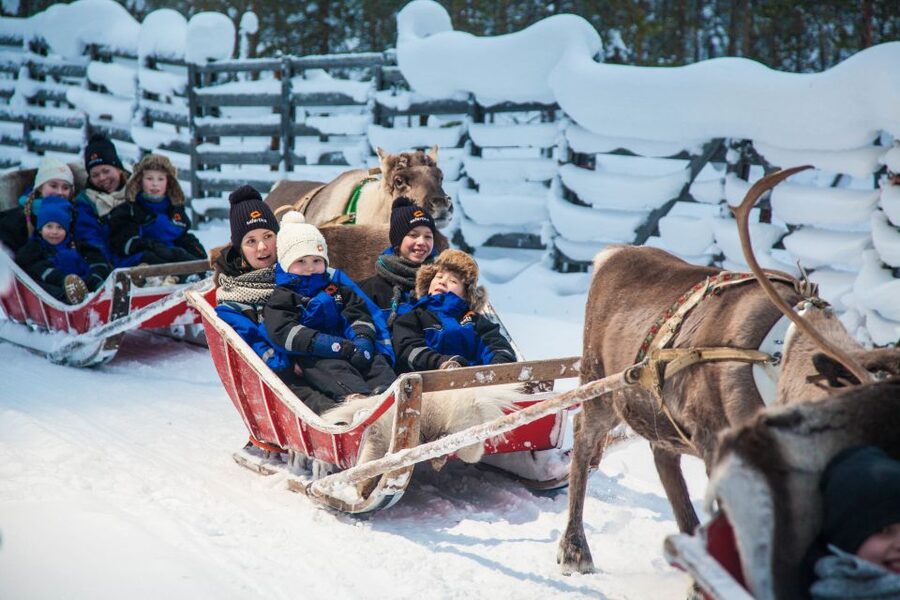 Rovaniemi: Snowmobile Safari to a Reindeer Farm - Guides, Briefing, and Group Pace