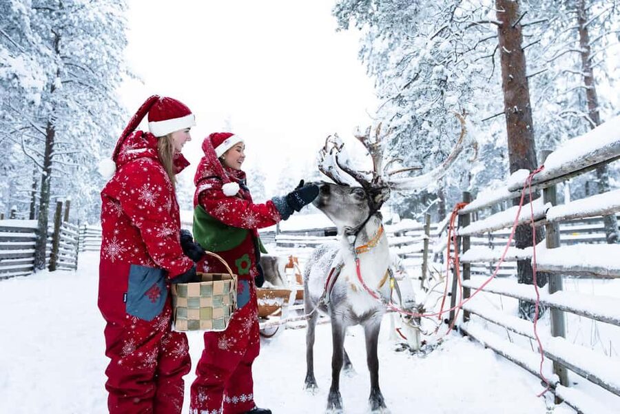 Rovaniemi: Visit to Santa's reindeer farm with reindeer ride - The 500-meter sleigh ride